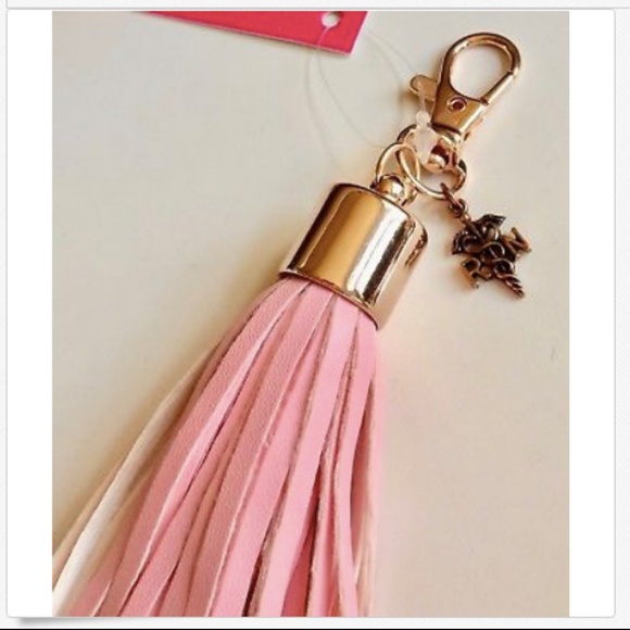 RN Caduceus Nursing Keychain Purse Charm Tassel Nurse Graduation Gift Zipper - Picture 3 of 8